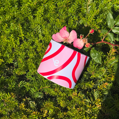 Papier toilette ecopop - Crowdfunding (Précommande multi-boites payée, la suite arrive via UPS)